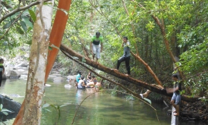 Eksplorasi Wisata Belitung: Batu Mentas, Destinasi Ekowisata yang Wajib Dikunjungi 11 Pengunjung menikmati ekowisata Batu Mentas di Pulau Belitung dengan suasana hutan tropis dan sungai alami.